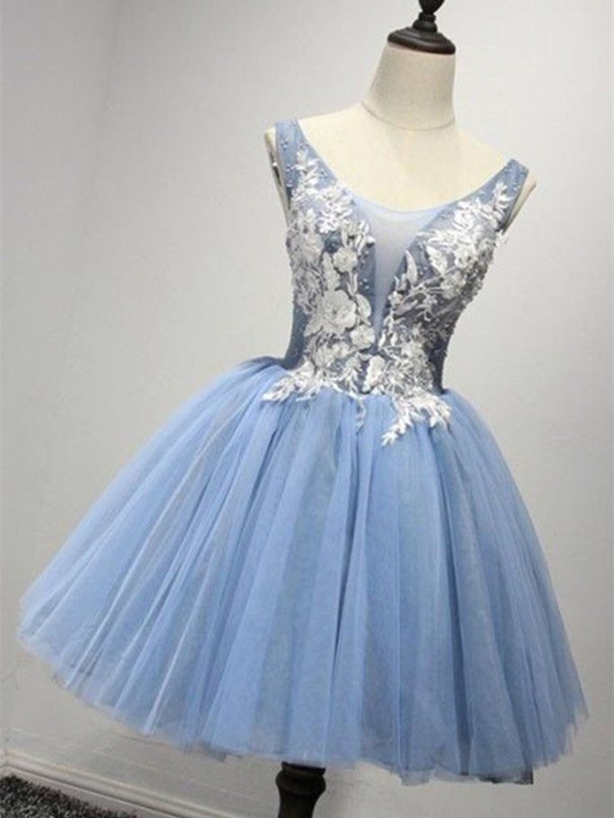 A-line Princess Illusion/scoop Neck Sleeveless Homecoming Dresses Asd2553